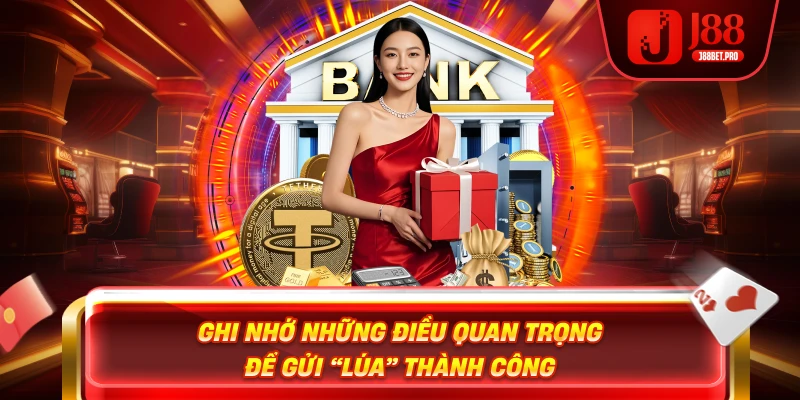 Ghi nhớ những điều quan trọng để gửi “lúa” thành công